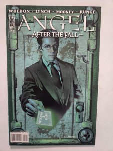 Angel After the Fall #12 VF-NM IDW Publishing Comic Book 25 TJ89