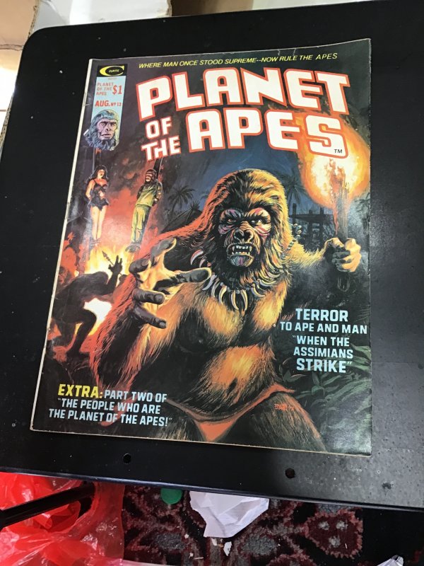 Planet of the Apes #13 (1975) 13th Issue! Great Movie Pics! Mid-grade! FN Wow!