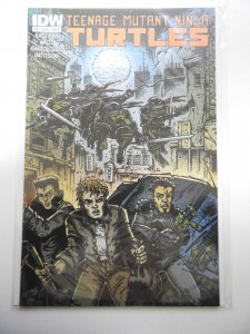 Teenage Mutant Ninja Turtles #33 Cover B