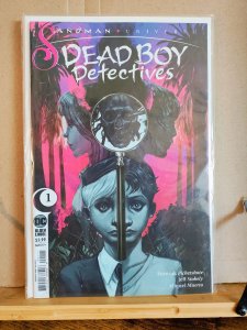 The Sandman Universe: Dead Boy Detectives #1-6 (2023) complete series, NM