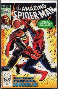 The Amazing Spider-Man #250 (1984) Spider-Man