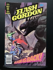 Flash Gordon #19 (1978)