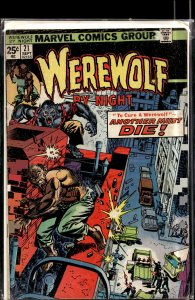 Werewolf by Night #21 (1974) Werewolf by Night