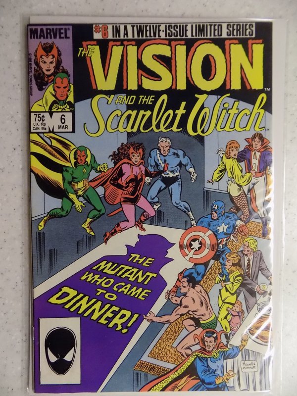 The Vision and the Scarlet Witch #6 (1986)