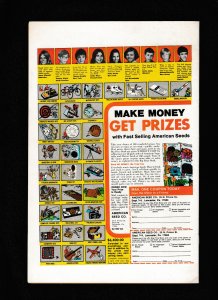 The Amazing Spider-Man #167 (1977) FN/VF