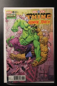 Marvel Two-In-One #3 Mike Hawthorne 'Hulk' Variant (2018)