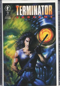 Terminator: Endgame #2 (1992) The Terminator