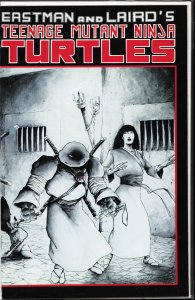 Teenage Mutant Ninja Turtles #17 (1988)