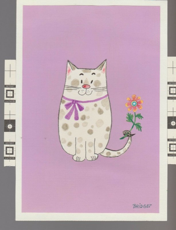 SOMEONE SPECIAL Fat Spotted White Cat w/ Flower 5x7 Greeting Card Art #B8523