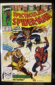 The Spectacular Spider-Man #161 (1990)