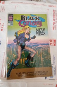 Black Canary #1 (1991)