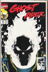 Ghost Rider #15 (1991) Ghost Rider