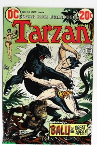 Tarzan (1972 series)  #213, VF+ (Actual scan)
