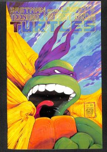 Teenage Mutant Ninja Turtles #22 (1989)