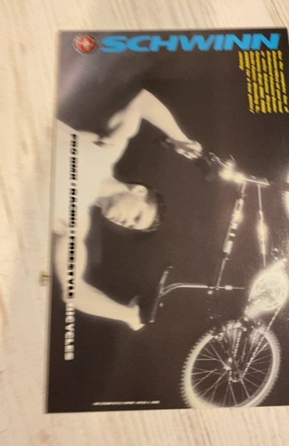 The Sensational She-Hulk #1 (1989) vol 2 #1