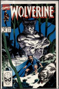 Wolverine #25 (1990) Wolverine