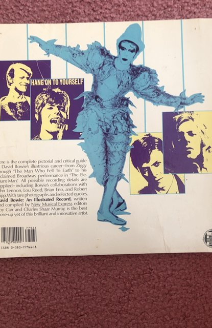 David Bowie an illustrated record by Carr,1981,120p