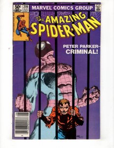 The Amazing Spider-Man #219 Newsstand Edition (1981)  / ID#393