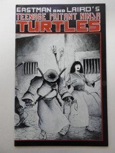 Teenage Mutant Ninja Turtles #17 (1988) Signed Eastman/Laird++ NM- Condition!