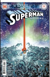 Superman: Endless Winter Special (2021) Superman