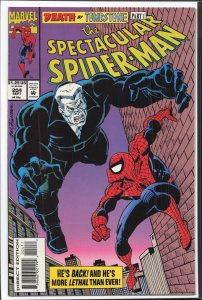 The Spectacular Spider-Man #204 (1993) Spider-Man