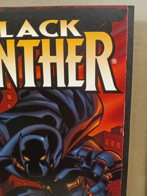 Black Panther #2 (Bruce Timm Variant Cover) (1998). N172x