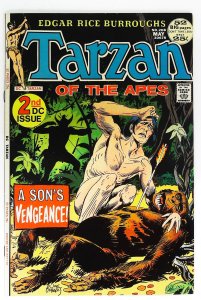 Tarzan (1972 series)  #208, VF (Actual scan)