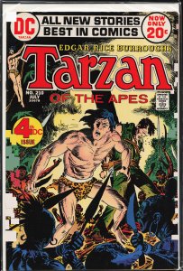 Edgar Rice Burroughs' Tarzan #210 (1972)