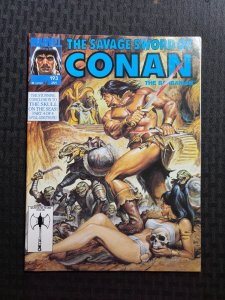 1992 SAVAGE SWORD OF CONAN Magazine #193 FVF 7.0 John Buscema