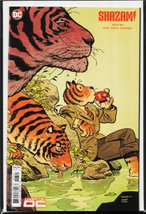 Shazam! #3 Samnee Cover (2023) Captain Marvel / Shazam!