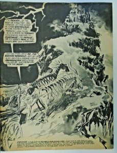 mm Psycho (1971, Skywald) #10fn