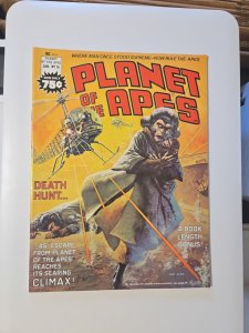Planet of the Apes #16 (Marvel Comics January 1976)
