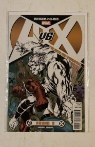 Avengers Vs. X-Men #8 Team Avengers Cover (2012)