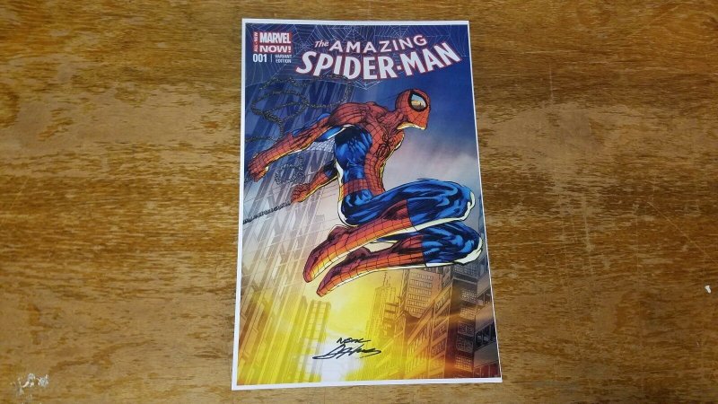 Amazing Spiderman # 1 Var Cover (w/ Border) Neal Adams 11x17 Signed Print TB1