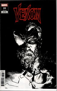 Venom #30 Stegman Cover (2021)