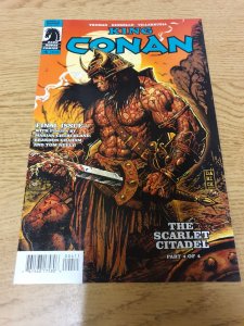 King Conan: The Scarlet Citadel #4 (2011)