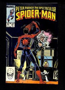 Spectacular Spider-Man #87