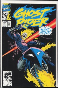 Ghost Rider #35 (1993) Ghost Rider