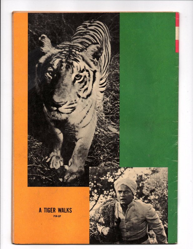 Walt Disney's A Tiger Walks #[nn] (Jun 1964, Western Publishing) - Good+ 