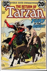 Edgar Rice Burroughs' Tarzan #220 (1973)