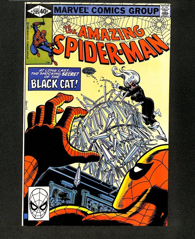 Amazing Spider-Man #205 Black Cat!