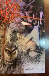 Batman: The Widening Gyre #1 (2009)