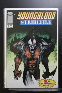 Youngblood: Strikefile #1 