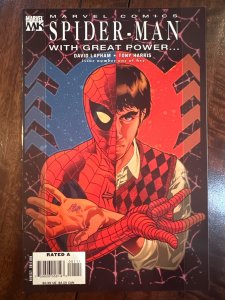 Spider-Man: With Great Power... #1 (2008)