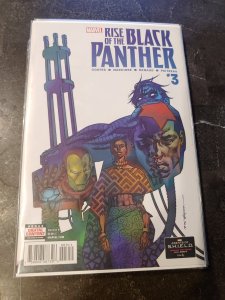 Rise of the Black Panther #3 (2018)
