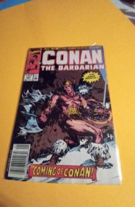 Conan the Barbarian #232 (1990)