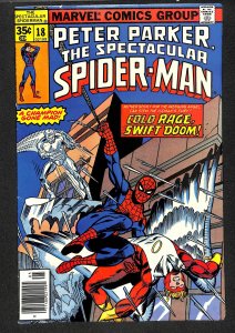 The Spectacular Spider-Man #18 (1978)