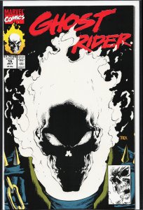 Ghost Rider #15 (1991) Ghost Rider