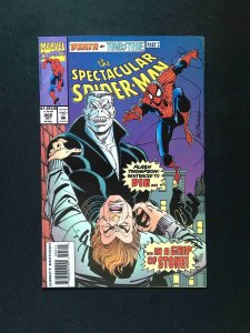 Spectacular Spider-Man #205  MARVEL Comics 1993 VF+