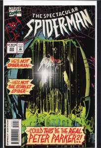 The Spectacular Spider-Man #222 (1995) Spider-Man [Key Issue]